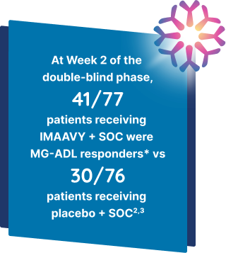 At Week 2 of the double-blind phase, 41/77 patients receiving IMAAVY + SOC were MG-ADL responders* vs 30/76 patients receiving placebo + SOC
